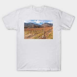 Winter Vineyard and Snowy Mountains - Oliver, BC, Canada T-Shirt